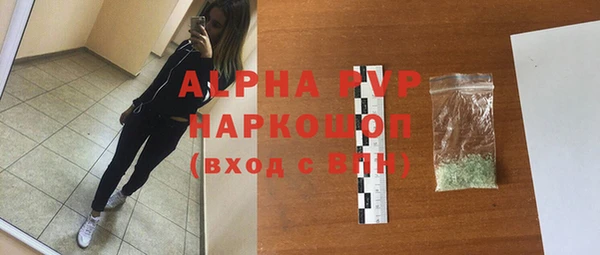 хмурый Верея