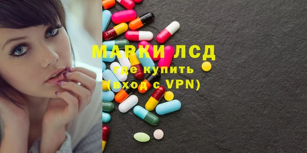 хмурый Верея